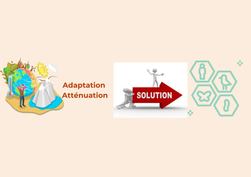 Adaptation au changement climatique Nicole BARTOLI